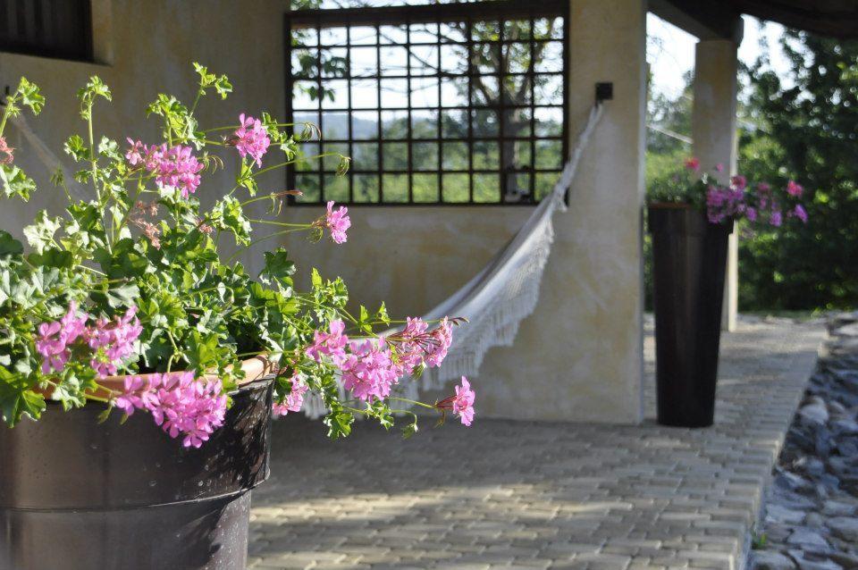 Premiata Osteria Dei Fiori Bed & Breakfast Cortiglione Room photo